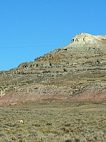 sur la route vers Pinedale (13).JPG